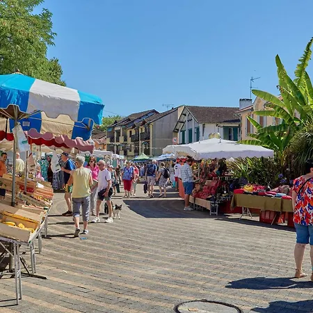 Duplex Avec Piscine Commune, Jardin Prive Et Wifi - Fr-1-841-32 Appartement *